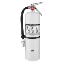10+ lbs