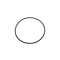 O-Ring MS28775-019